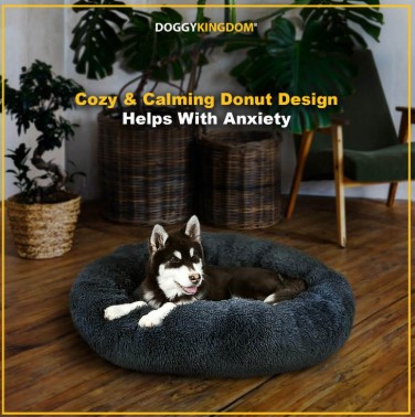 Making sure your dog has a good trip: comfy travel beds and fun toys for them